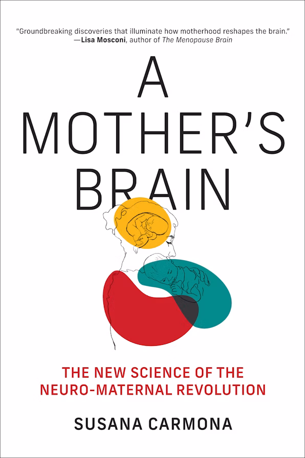 AMothersBrain_Cover