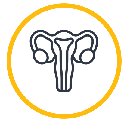 Lifespan reproductive health icon