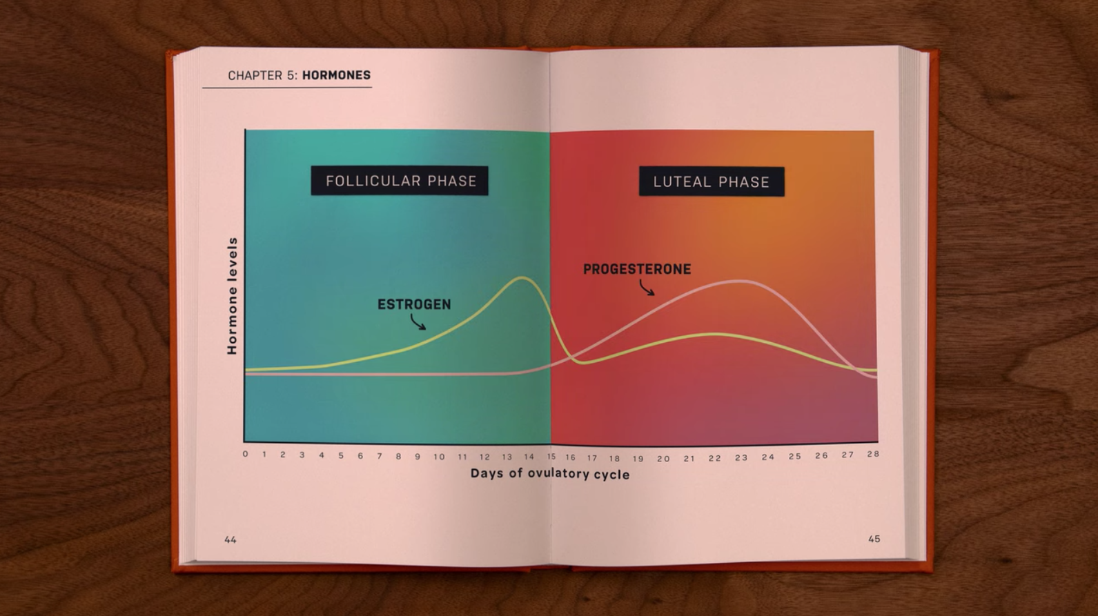 Cartoon graphic of hormone changes across cycle