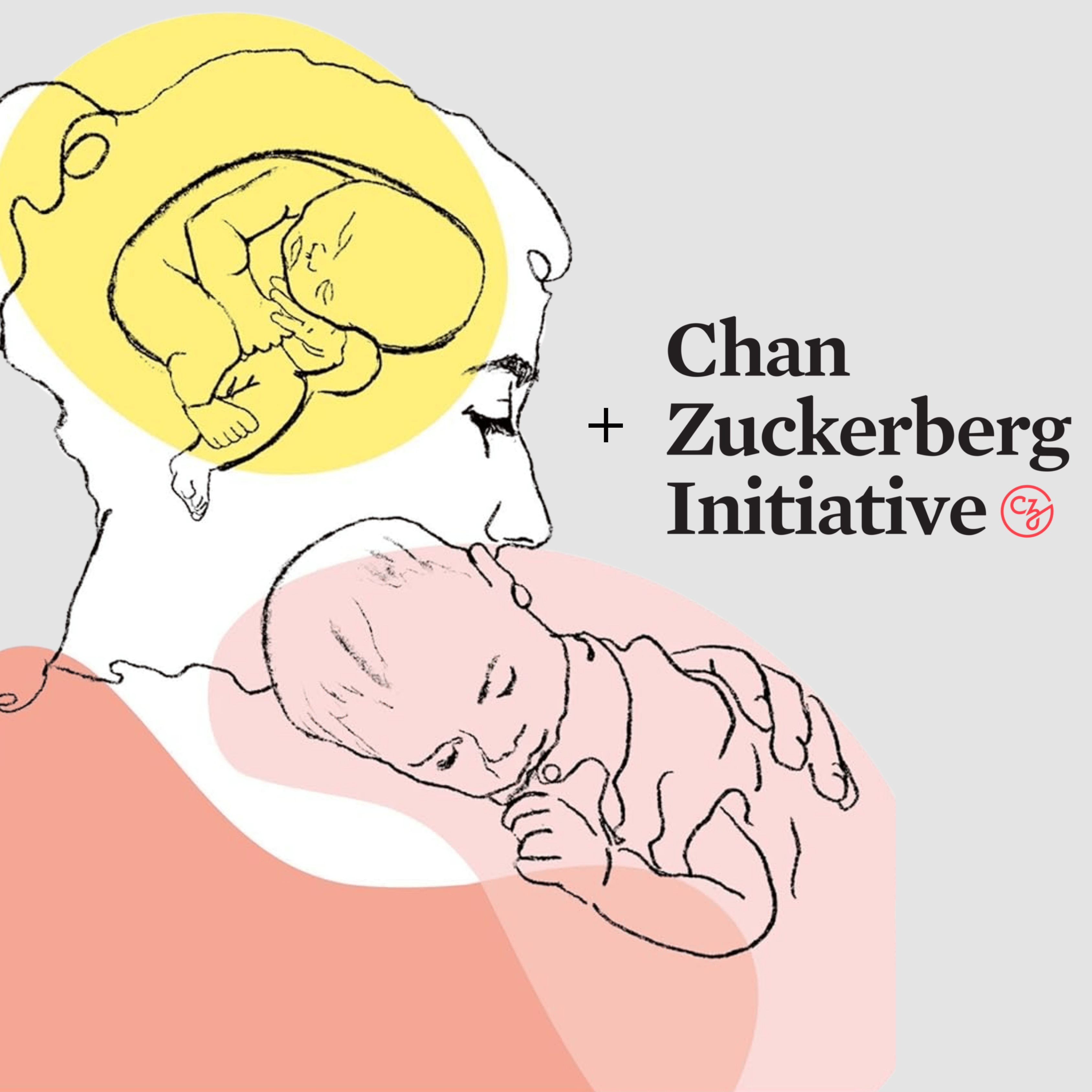 Cover of Susana Carmona's Book , Neuromaternal with a "+" followed by Chan Zuckerberg Initiative Logo